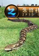 c(din)鿴^(q)DƬ