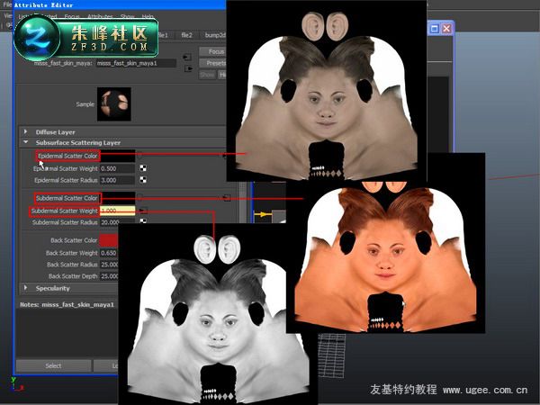 c(din)鿴^(q)DƬ