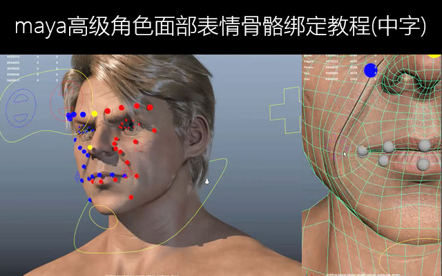 maya߼ɫ沿̳