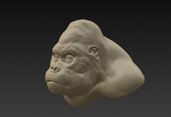 һЩ3dcoatľ(x) еõ̼(x)(ji)ĲԽԽ