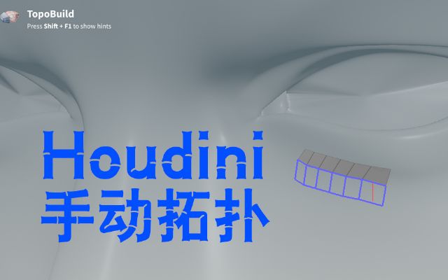 houdini?f)乤Topobuild]