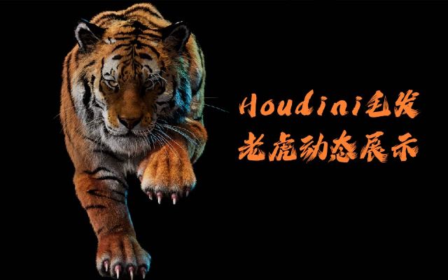 Houdiniϻܲël(f)ӑB(ti)ʾ
