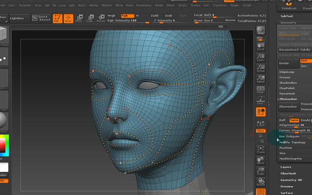zbrush????????????