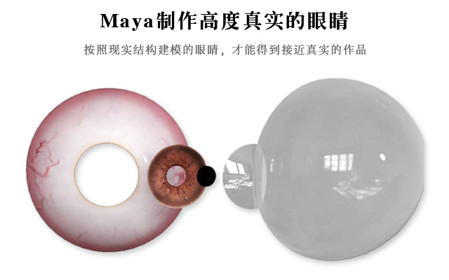Maya???????????????