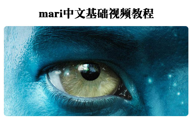 mari?????????????