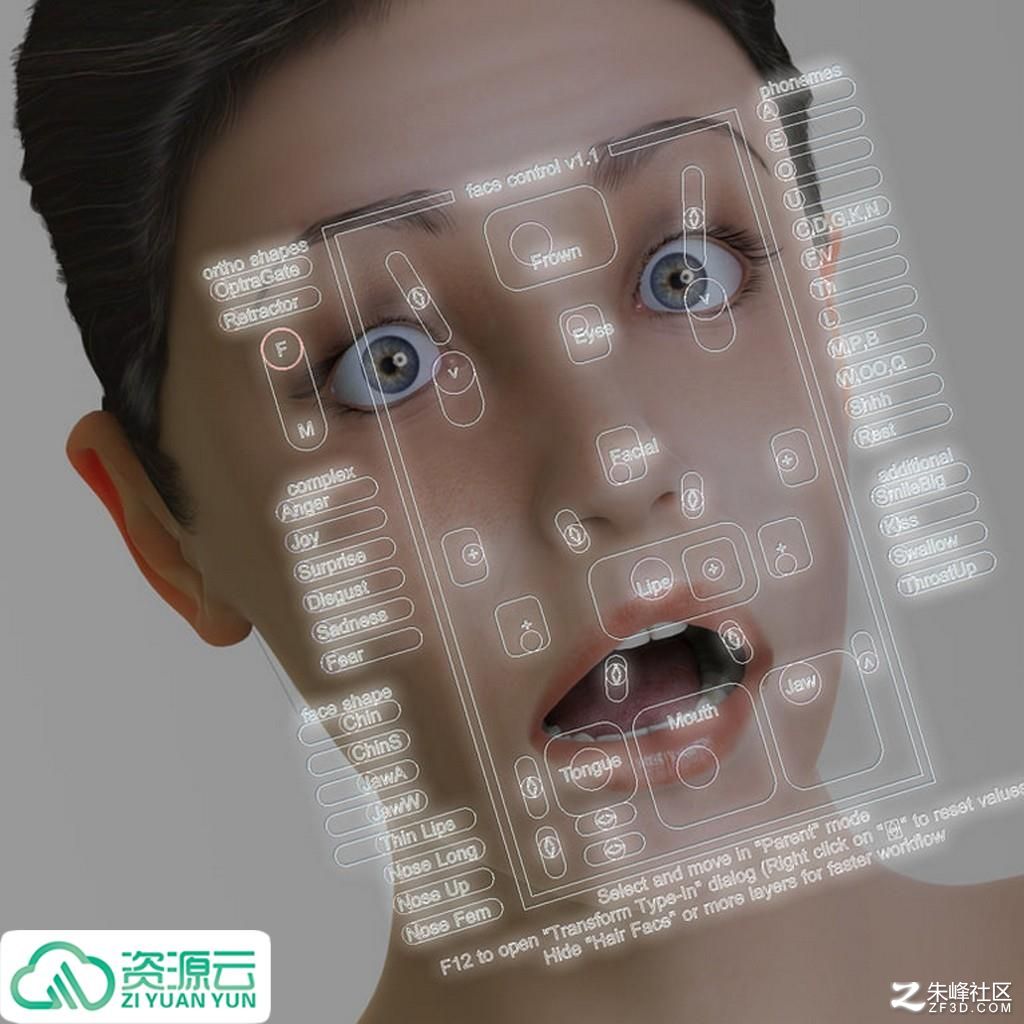 https://img.alicdn.com/imgextra/i3/3008050564/O1CN01LE5eiO1G2LzeDLE7P_!!3008050564.jpg