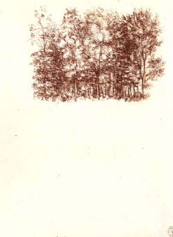 _ȻDƬ14P_11873