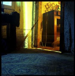 ˇg(sh)Raphael LacosteƷp  48P_12913