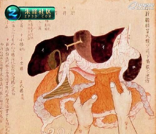 c(din)鿴^(q)DƬ