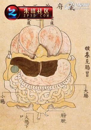 c(din)鿴^(q)DƬ